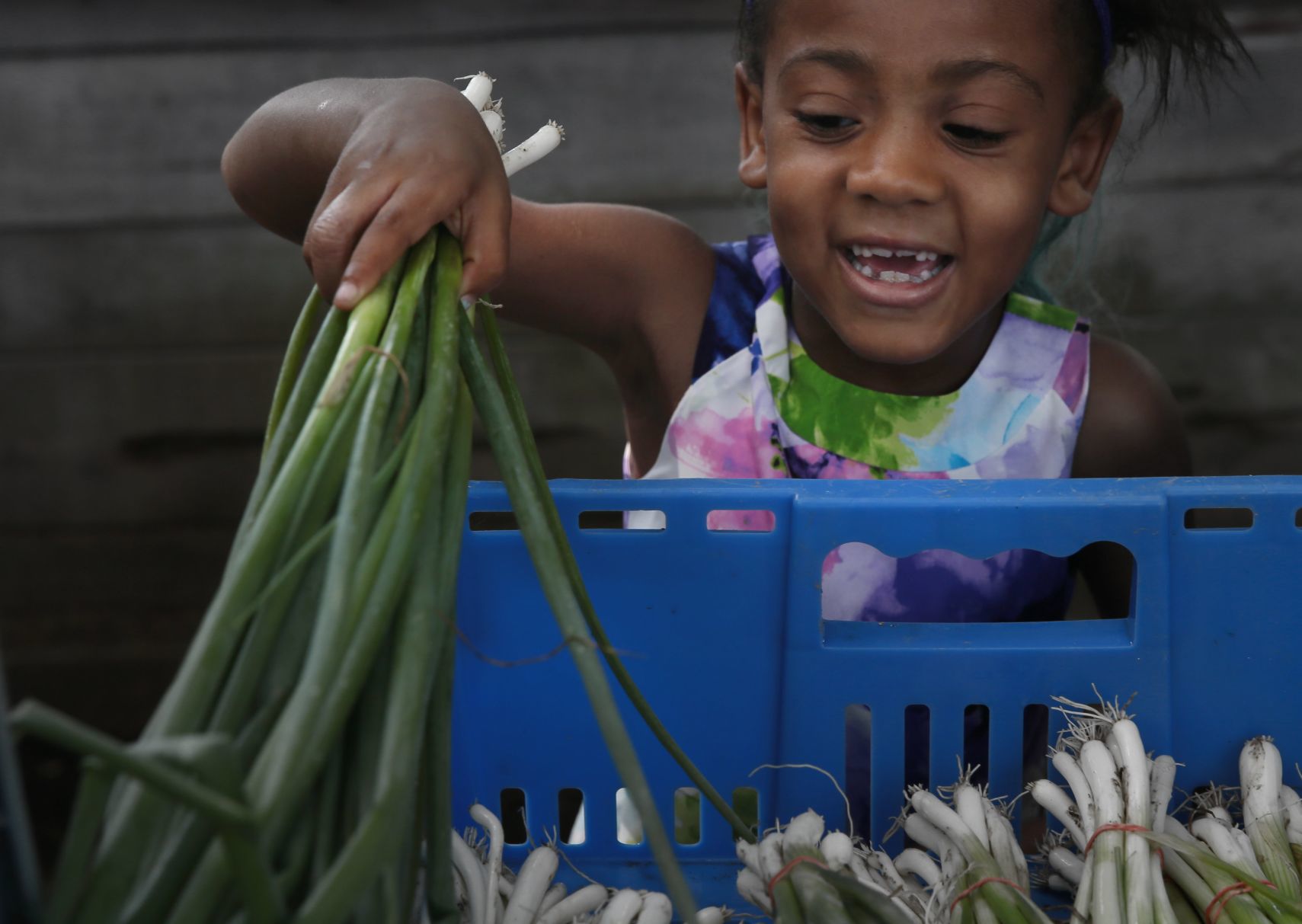 Seeds of Hope Farm in Spanish Lake offers income-tiered CSA shares